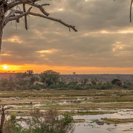 מרלות' פארק Foxy Crocodile Bush Lodge & Kruger Safari'S - No Loadshedding מראה חיצוני תמונה